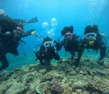 武藤潜水に投稿された画像（2024/6/25）