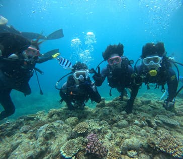 武藤潜水に投稿された画像（2024/6/25）