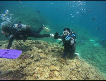 武藤潜水に投稿された画像（2024/6/25）