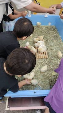 東京あそびマーレに投稿された画像（2024/6/25）