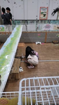 東京あそびマーレに投稿された画像（2024/6/25）