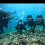 武藤潜水に投稿された画像（2024/6/25）