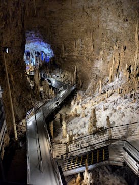 おきなわワールドに投稿された画像（2024/6/25）