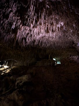 おきなわワールドに投稿された画像（2024/6/25）