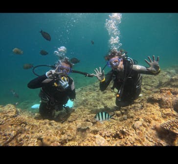 武藤潜水に投稿された画像（2024/6/25）