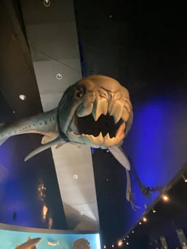 環境水族館アクアマリンふくしまに投稿された画像（2024/6/25）