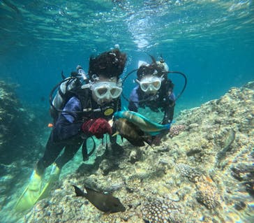 沖縄マリンサービス碧に投稿された画像（2024/6/25）