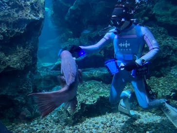 京都水族館に投稿された画像（2024/6/25）
