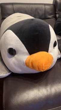 京都水族館に投稿された画像（2024/6/25）