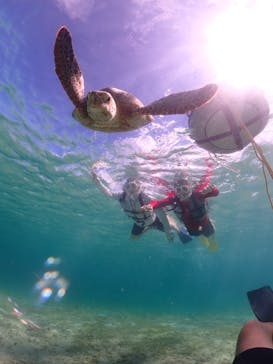 ちゃこたびに投稿された画像（2024/6/25）