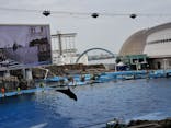 名古屋港水族館に投稿された画像（2024/6/25）