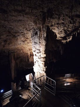 おきなわワールドに投稿された画像（2024/6/25）