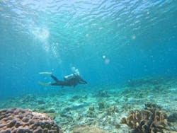 ピースに投稿された画像（2024/6/25）