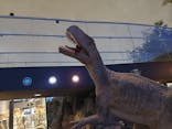 福井県立恐竜博物館に投稿された画像（2024/6/25）