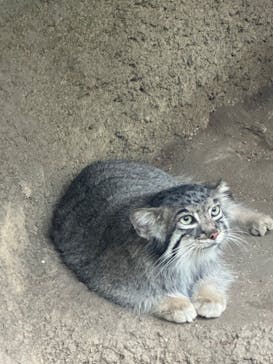 神戸どうぶつ王国に投稿された画像（2024/6/25）