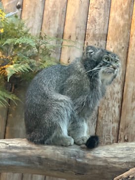 神戸どうぶつ王国に投稿された画像（2024/6/25）