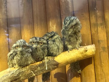 神戸どうぶつ王国に投稿された画像（2024/6/25）