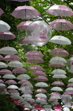 ムーミンバレーパークに投稿された画像（2024/6/25）