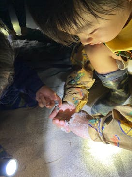 石垣島 ADVENTURE PiPi（イシガキジマアドベンチャーピピ）に投稿された画像（2024/6/25）