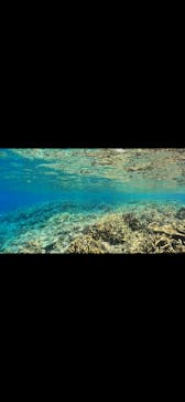 ドロップイン 沖縄に投稿された画像（2024/6/25）