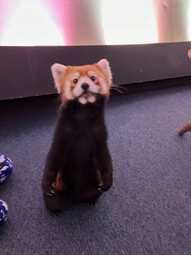 横浜・八景島シーパラダイスに投稿された画像（2024/6/25）