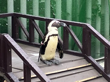 横浜・八景島シーパラダイスに投稿された画像（2024/6/25）