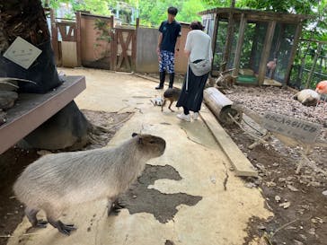 横浜・八景島シーパラダイスに投稿された画像（2024/6/25）