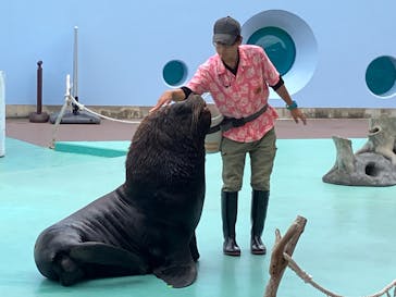 横浜・八景島シーパラダイスに投稿された画像（2024/6/25）