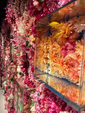 NARA KINGYO MUSEUMに投稿された画像（2024/6/25）