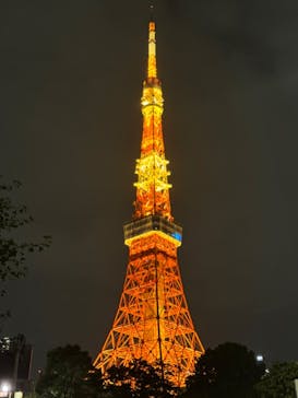 東京タワーに投稿された画像（2024/6/25）