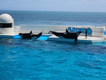 鴨川シーワールドに投稿された画像（2024/6/25）