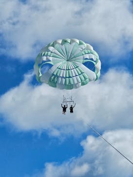 CoCoMarin（ココマリン）に投稿された画像（2024/6/25）