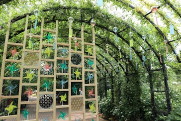 横浜イングリッシュガーデンに投稿された画像（2024/6/25）