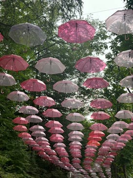 ムーミンバレーパークに投稿された画像（2024/6/26）