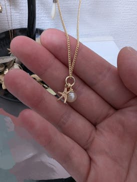 新江ノ島水族館に投稿された画像（2024/6/26）