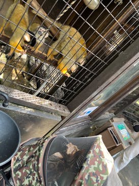 伊豆シャボテン動物公園に投稿された画像（2024/6/26）