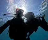 武藤潜水に投稿された画像（2024/6/26）