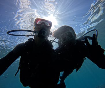 武藤潜水に投稿された画像（2024/6/26）