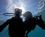 武藤潜水に投稿された画像（2024/6/26）