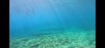 沖縄マリンサービス碧に投稿された画像（2024/6/26）