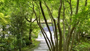 箱根湯寮に投稿された画像（2024/6/26）