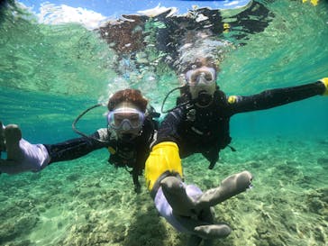 武藤潜水に投稿された画像（2024/6/26）