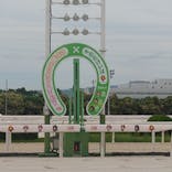 園田競馬場に投稿された画像（2024/6/26）