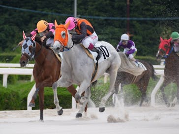 園田競馬場に投稿された画像（2024/6/26）