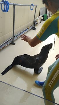 新江ノ島水族館に投稿された画像（2024/6/26）