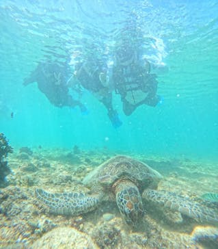 宮古島 ADVENTURE PiPi（ミヤコジマ アドベンチャー ピピ）に投稿された画像（2024/6/26）