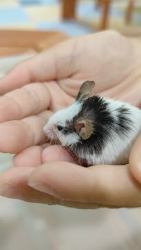 南知多ビーチランド＆南知多おもちゃ王国に投稿された画像（2024/6/26）