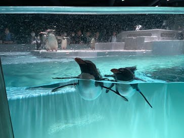 AOAO SAPPOROに投稿された画像（2024/6/26）