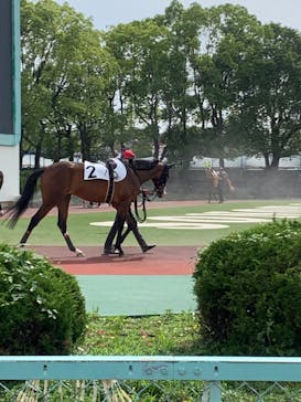 園田競馬場に投稿された画像（2024/6/26）
