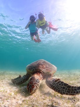 宮古島マリン GB QUESTに投稿された画像（2024/6/26）